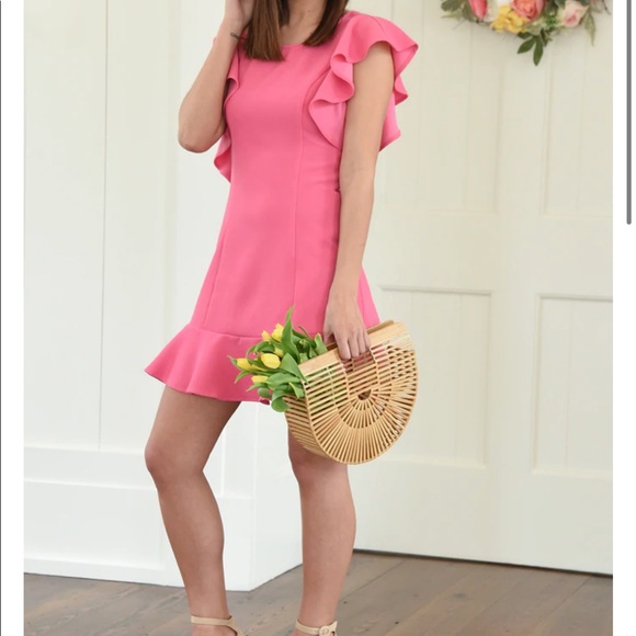 Harper Wren Lohan Dress Pink Ruffle Dress Size Large NEW with Tags - Picture 6 of 12